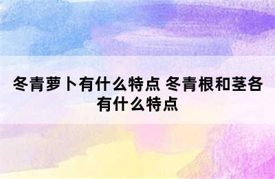 冬青萝卜有什么特点 冬青根和茎各有什么特点